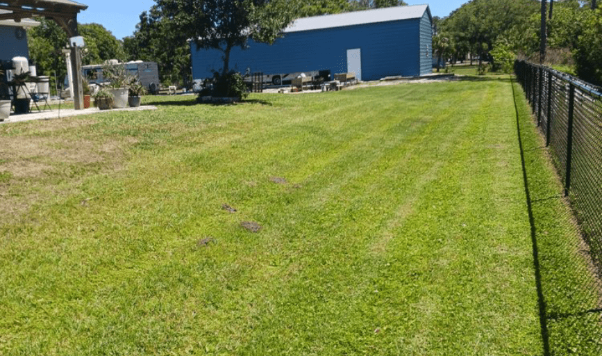 Solid Lawns
